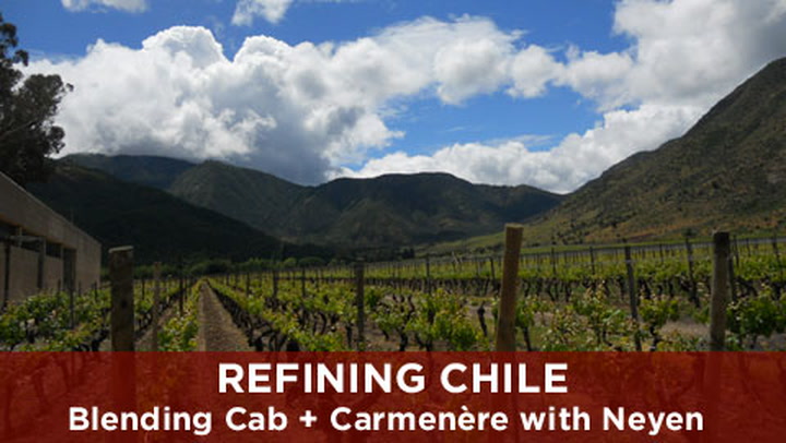 Refining Chile: Blending Cab + Carmenère with Neyen