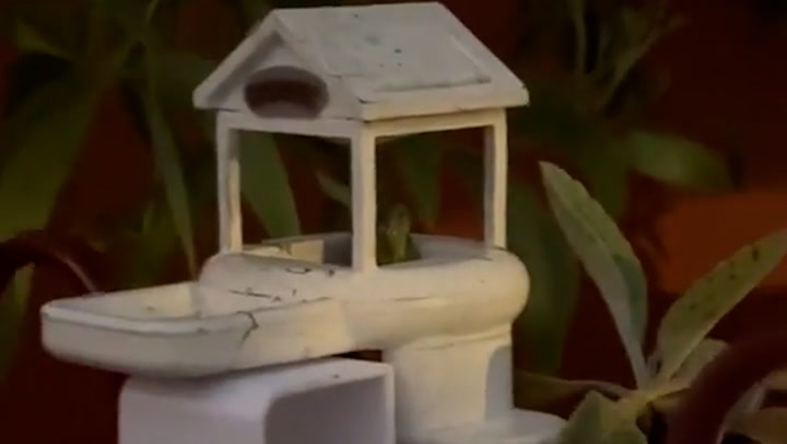 TikToker builds tiny 3D-printed house for frog in viral clip