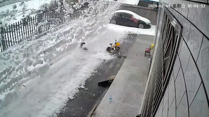 Woman shovelling show gets buried under massive avalanche from roof