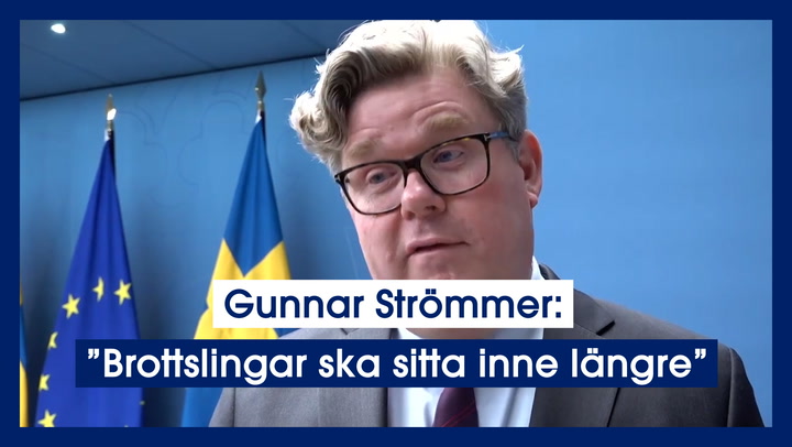 Gunnar Strömmer: ”Brottslingar ska sitta inne längre”