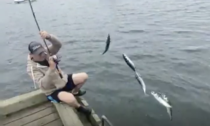 WATCH AS N.S. FISHERMAN CATCHES FIVE FISH AT ONCE