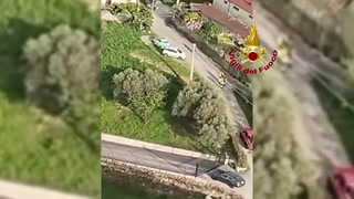 Watch moment toddler lost in countryside is found by police helicopter
