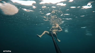 Un paseo bajo el agua