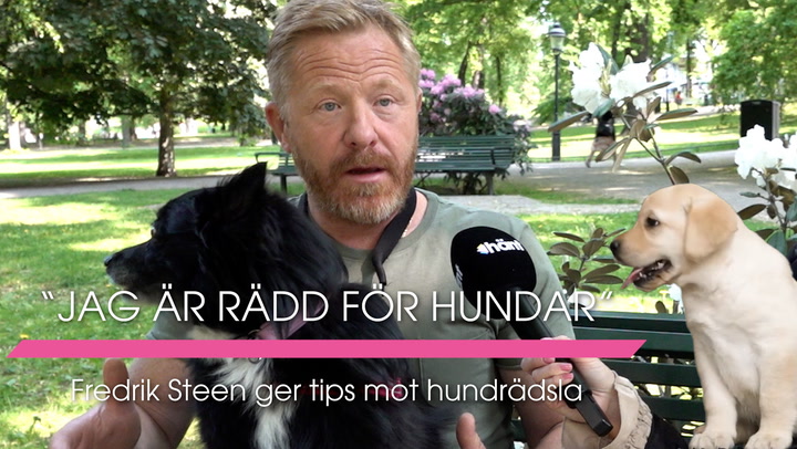 Fredrik Steen ger tips mot hundrädsla