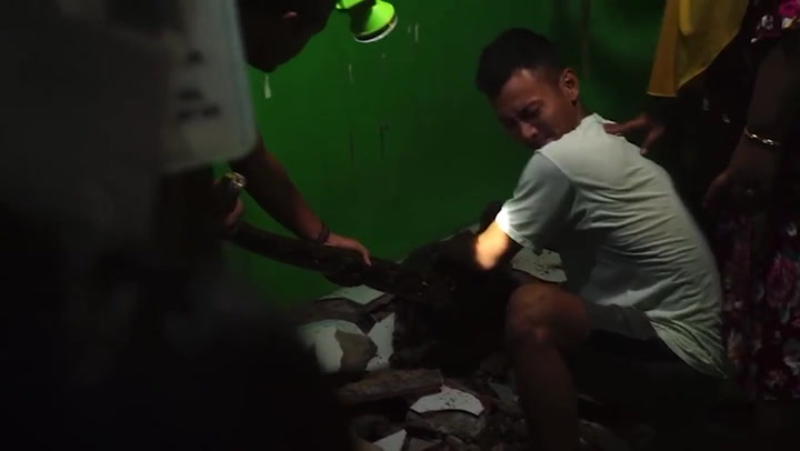 Massive python caught under family's living room floor in Indonesia