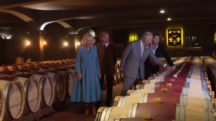 King Charles and Queen Camilla sip wine and meet llama during Bordeaux vineyard trip