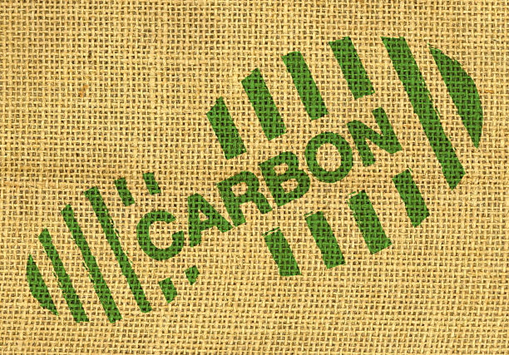 Half of adults don’t know what carbon footprint means