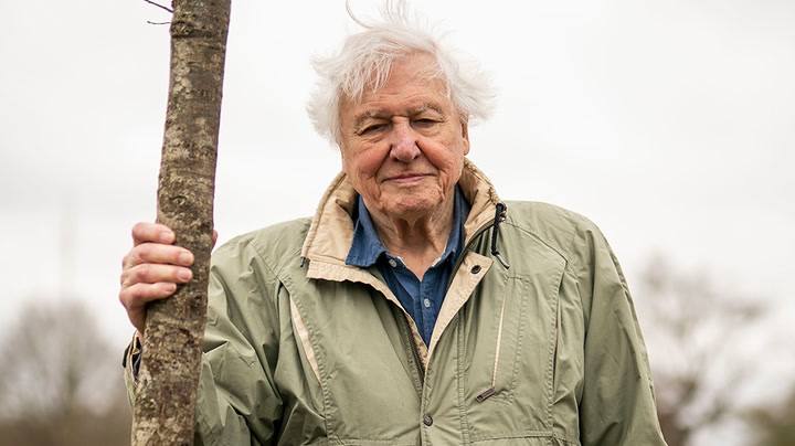 David Attenborough plants tree to open woodland in honour of late Queen