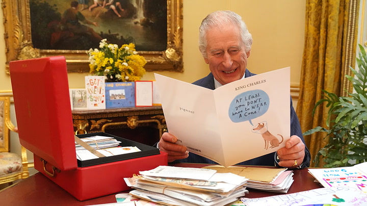 King amused by well-wisher’s card showing disgruntled cone-wearing dog