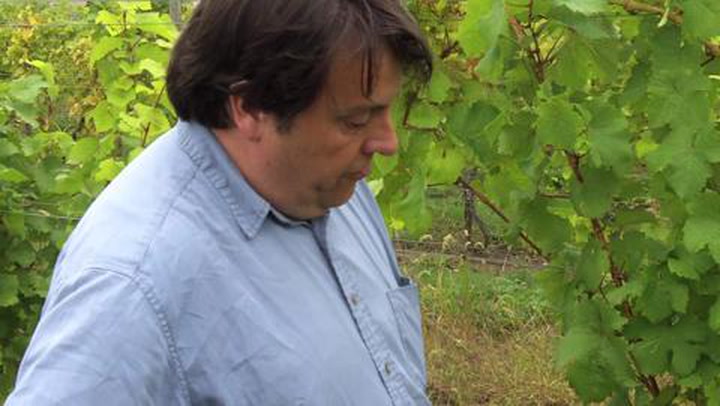 James Molesworth Visits Ravines Wine Cellars in the Finger Lakes