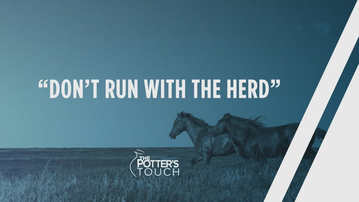 Don’t Run With The Herd