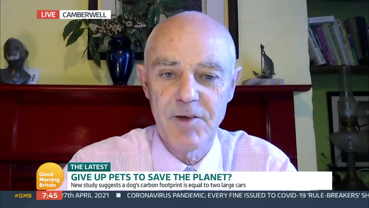 Environmental activist says we should ‘give up pets’ to save planet