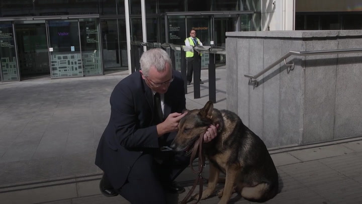 Tributes paid to 'hero' ex-police dog stabbed protecting handler as he dies aged 14