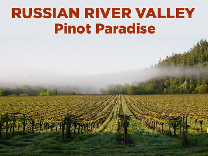 Pinot Paradise: RRV with Kosta Brown