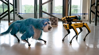 Boston Dynamics’ robot dog given life-like costume upgrade