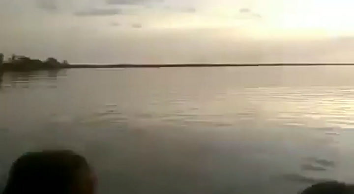 Un delfín apareció nadando en el Río Paraná - Fuente: YouTube