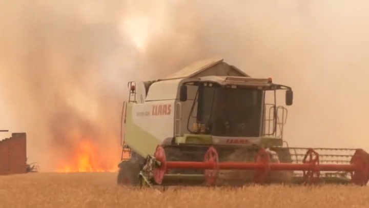 Firefighters and locals battle massive wildfire from land and air in Spain’s Zamora province