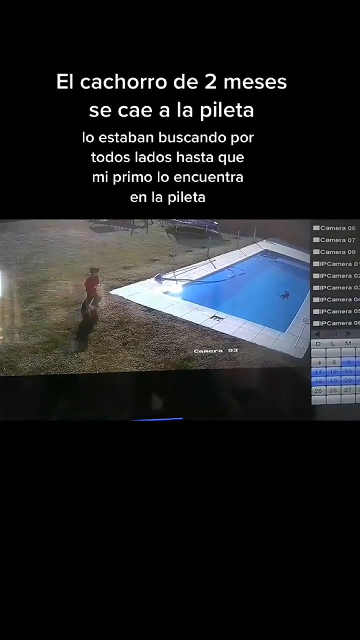 Un niño de 5 años y su rápida reacción para salvar la vida de su perro de morir ahogado