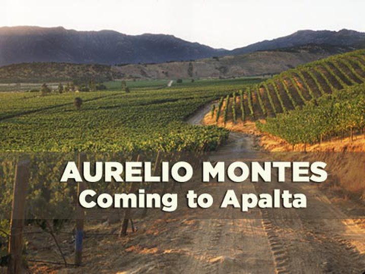 Montes: Coming to Apalta