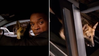 Will Smith pays tribute to I Am Legend dog with poignant video montage