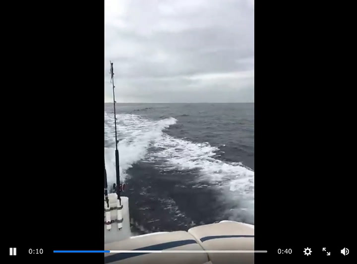 Pescadores fueron sorprendidos por un grupo de ballenas asesinas que persiguieron su embarcación