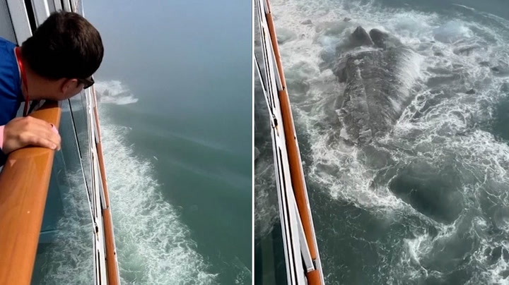 ‘It’s Titanic 2.0!’: Passenger captures moment cruise ship hits iceberg off coast of Alaska