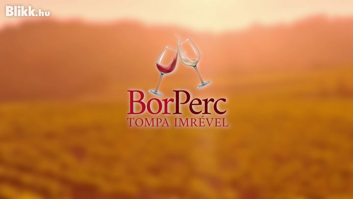 Ön ismeri a világ négy fő bortáját? - BorPerc