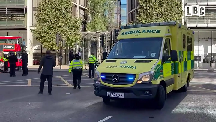 Ambulance forced to find new route as Just Stop Oil protesters block London road