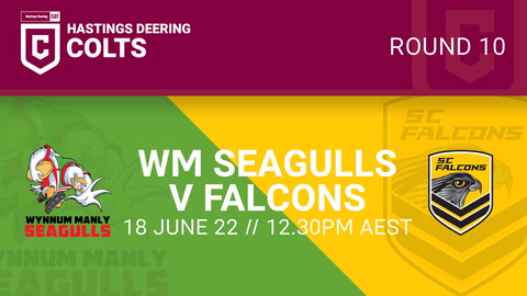 Wynnum Manly Seagulls U21 - HDC v Sunshine Coast Falcons - HDC