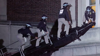 NYPD uses ladders to enter Hamilton Hall and remove Gaza protesters