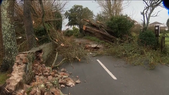 Houses damaged as Storm Ciaran batters Jersey