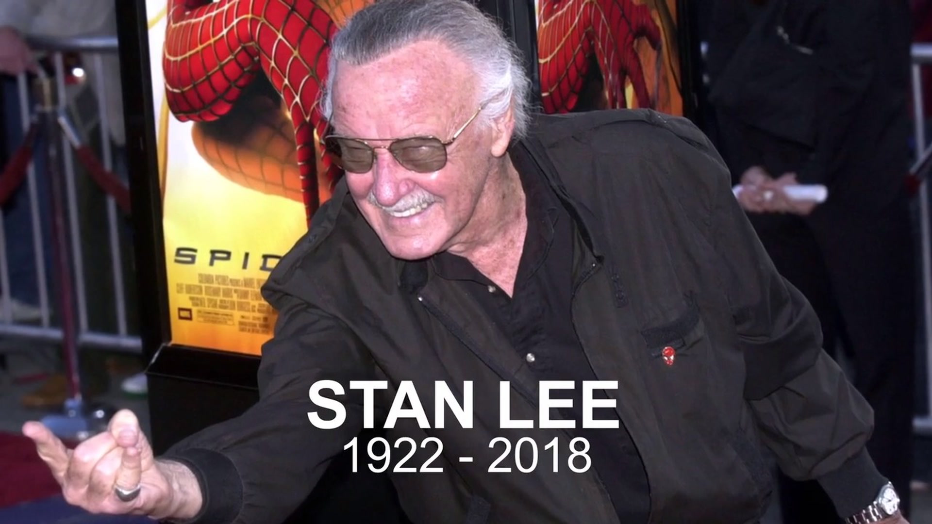 Stan Lee death: Legendary Marvel comic book writer behind Spider-Man and  X-Men dies, aged 95 | The Independent | The Independent