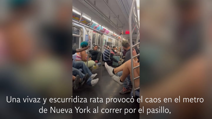 Una rata provoca caos en el metro de Nueva York