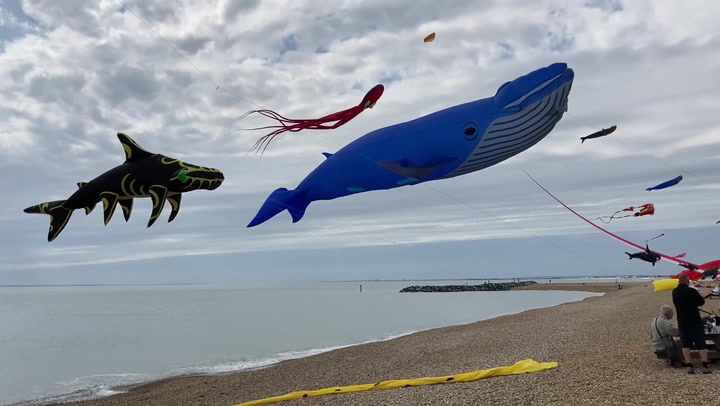 Giant kites fly over Sussex beach