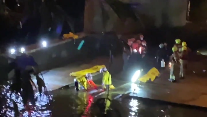 Rescuers battle to save whale stranded in River Thames