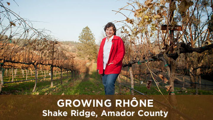 Growing Classic Rhônes in Amador County