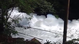 Watch: Sulfonic acid spill covers Brazil river in thick white foam