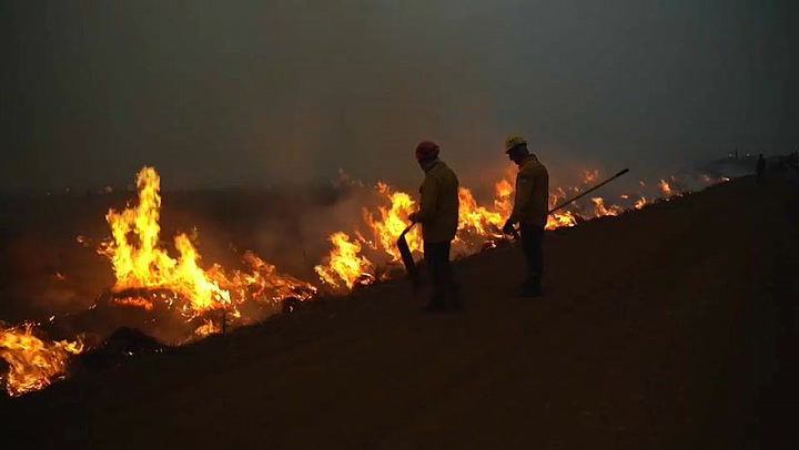 Incendios forestales en Argentina devastan 800 mil hectáreas 