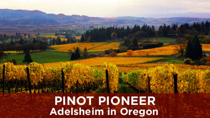 Pinot Pioneer: Adelsheim in Oregon