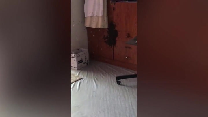 Hundreds of bees take over family's wardrobe in Thailand