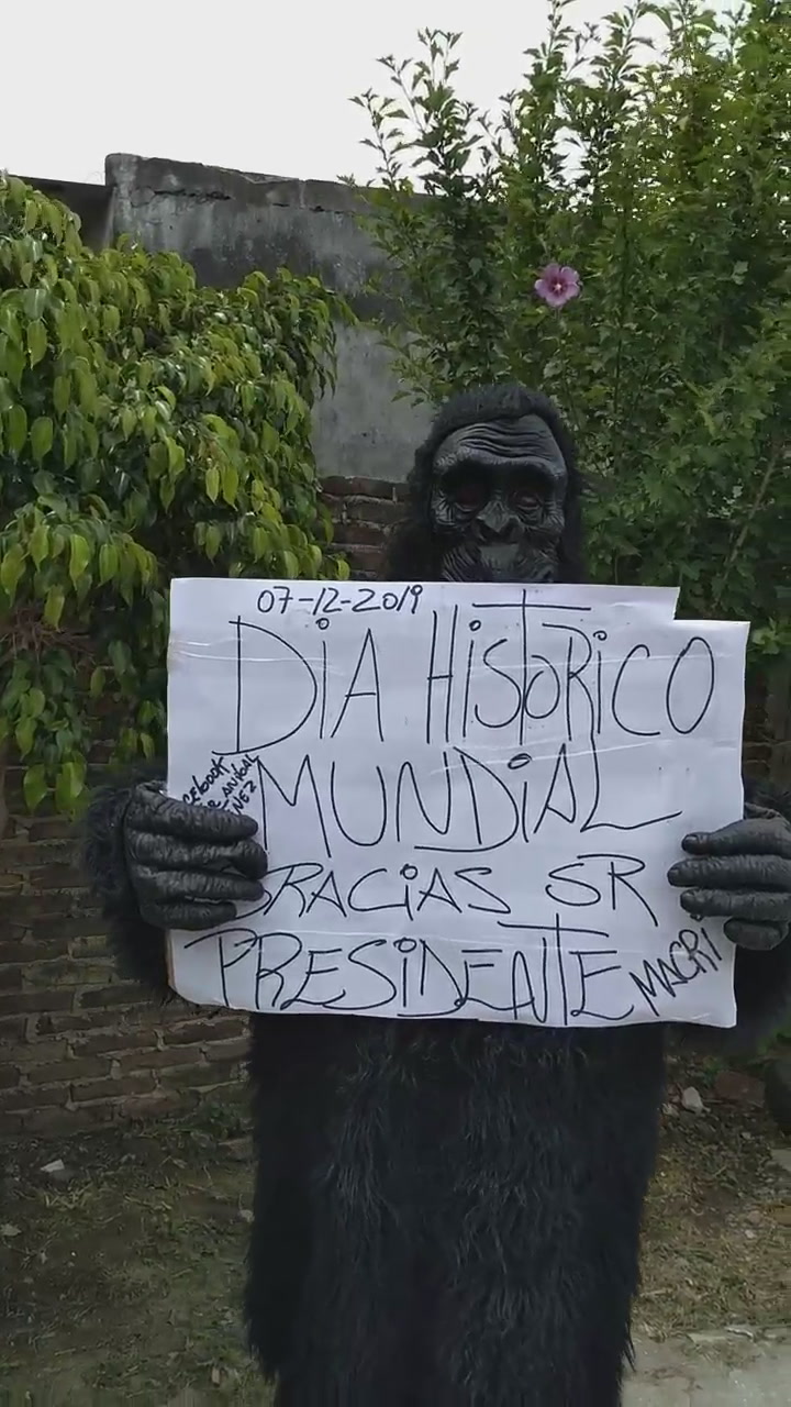 Se disfrazo de gorila para ir a despedir a Mauricio Macri en la marcha