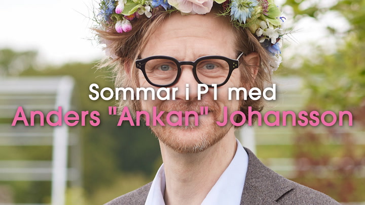 Sommar i P1 med Anders "Ankan" Johansson