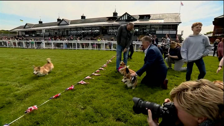 Dogs compete in ‘corgi derby’ for Queen’s Platinum Jubilee