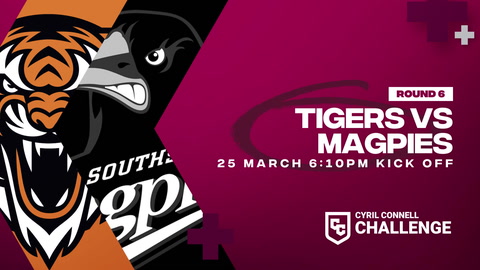 Brisbane Tigers v Souths Logan Magpies