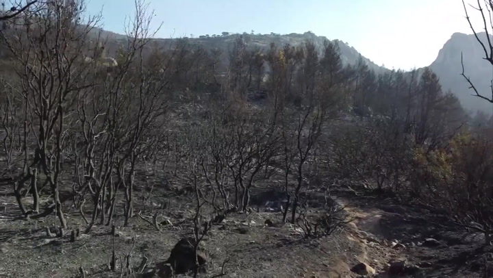 Drone footage shows wildfire devastation in northern Athens