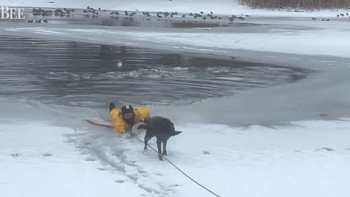 Video: Firefighter plunges into icy pond to save dog trapped in water