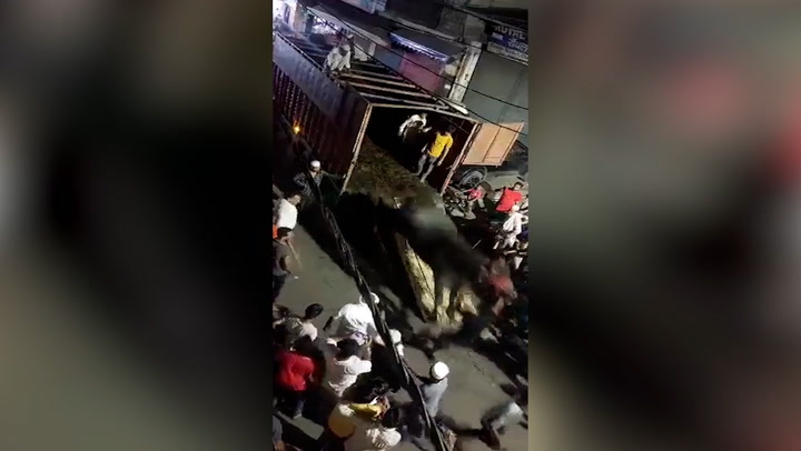 Buffalo charges into crowd after escaping Eid sacrifice