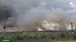 Impactantes imágenes del incendio forestal entre Villa Gesell y Cariló