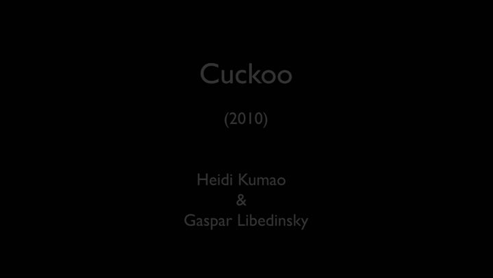 Cuckoo, 2010, de Heidi Kumao y Gaspar Libedinsky