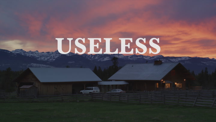 Useless Trailer